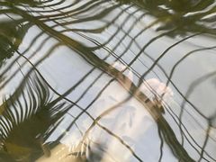 -龙达温泉生态城