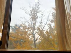 -晋阳饭庄(虎坊桥店)