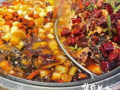 -锦尚阁烤鱼(望京新荟城店)