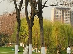 -九里河湿地公园