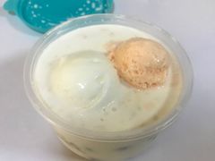 -志龙皇冠吃货椰子铺