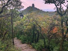 -杭州半山国家森林公园