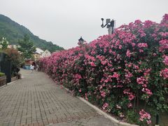 -四川省成都市彭州市白鹿镇
