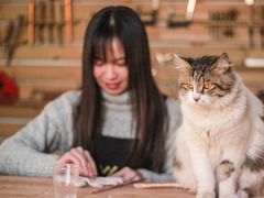 -五月木作·DIY木作文创体验店(北京路店)