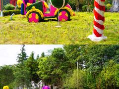 -九龙江国家森林公园