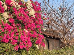-三亚西岛海洋文化旅游区