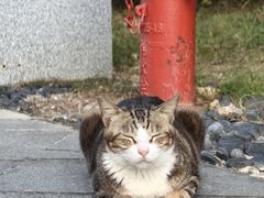 -深圳大学(丽湖校区)