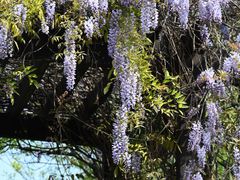 -梁鸿国家湿地公园