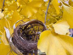 -西南民族大学南区(双流校区)