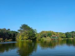 -海珠湖公园