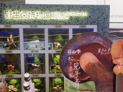 -芸山季·云南山珍菌火锅(南翔印象城MEGA店)