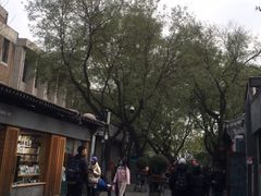 -中央戏剧学院(东城校区)