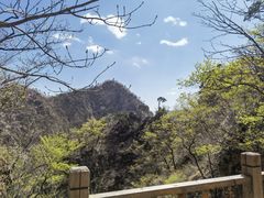 -大连天门山国家森林公园