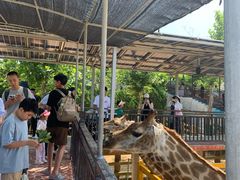 -西霞口神雕山野生动物世界