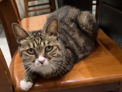 -延成苑韩式烤肉店(长春道店)