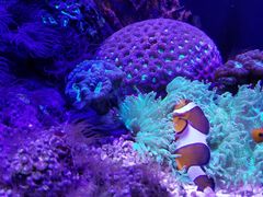 -成都浩海立方海洋公园