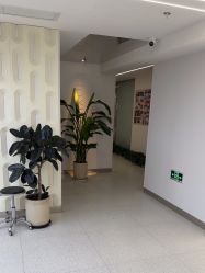 -魔型社烫染店