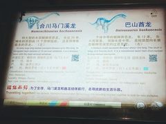 -自贡恐龙博物馆