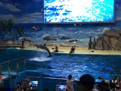 -福州罗源湾海洋世界旅游区