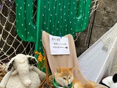 -上街里市集(悦喜客来广场店)