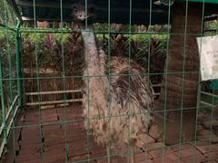 -西双版纳融创皇冠假日度假酒店