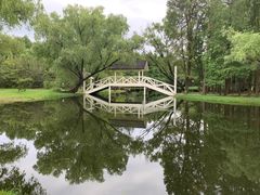 -上海共青森林公园