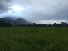-瑞穗牧场