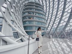 -凤凰中心
