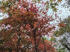 -青岛崂山太清宫