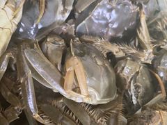 -食尚名肴自助涮烤