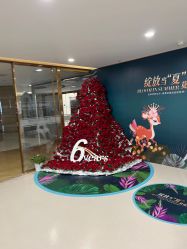 点击看大图 -丰联丽格医疗美容·联合丽格眼整形中心