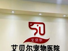 -艾贝尔宠物医院·24H转诊中心·肿瘤猫专科(江宁双龙店)