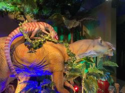 -恐龙探索乐园(磁器口店)