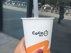 -CoCo都可(高新新力店)