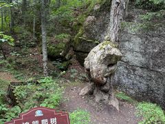 -汤旺河林海奇石景区
