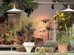 -自由生长植物工作室(深港花卉中心店)