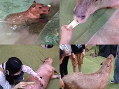 -正佳雨林生态植物园