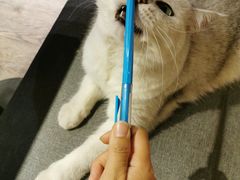 -小时光咖啡馆(开森度假森林店)