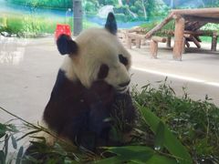 -太湖湖滨国家湿地公园-停车场