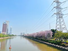 -广东财经大学(广州校区)