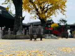 -惠山古镇·寄畅园