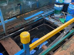 -蓝湾碧波·老字号·疍家非遗海上餐厅