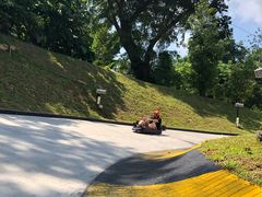 -圣淘沙天际线斜坡滑车
