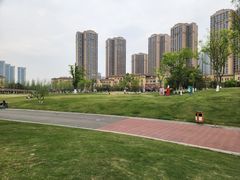 -府河摄影公园