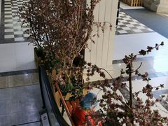 -仓桥家·焗寿司·锅物(光谷步行街店)