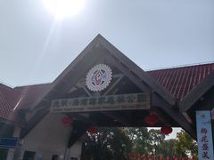 -上海海湾国家森林公园