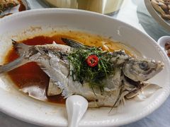 清蒸西边江鱼-八仔大富楼·河鲜(西江店)