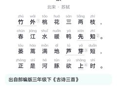 -粤珍轩·家宴·广式茶点(新城广场店)