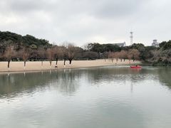 -上海方塔园