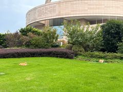 -上海博物馆-停车场